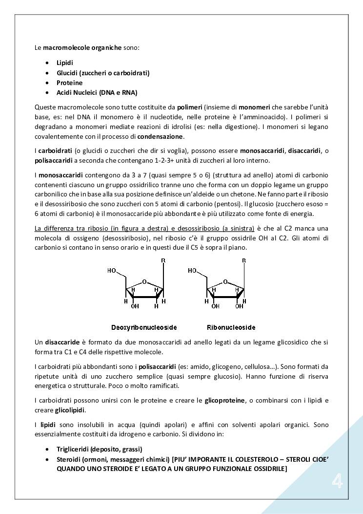 Sito Web notevole - ipogonadismo steroidi ti aiuterà ad arrivarci