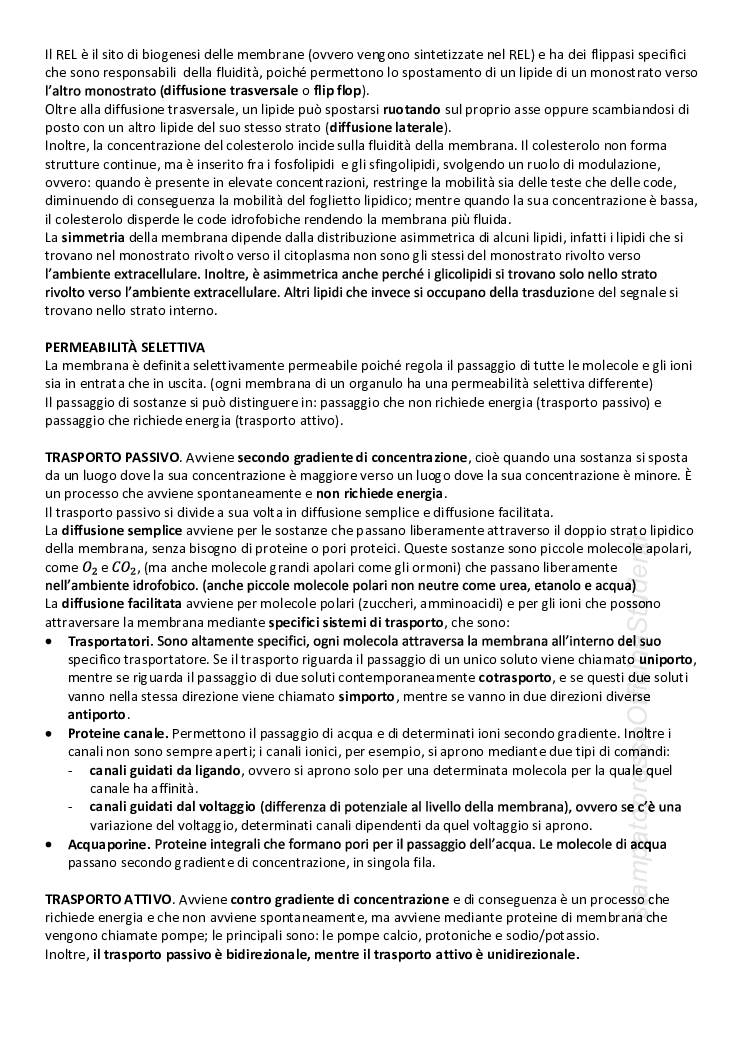 CITOLOGIA ED ISTOLOGIA - Image 3