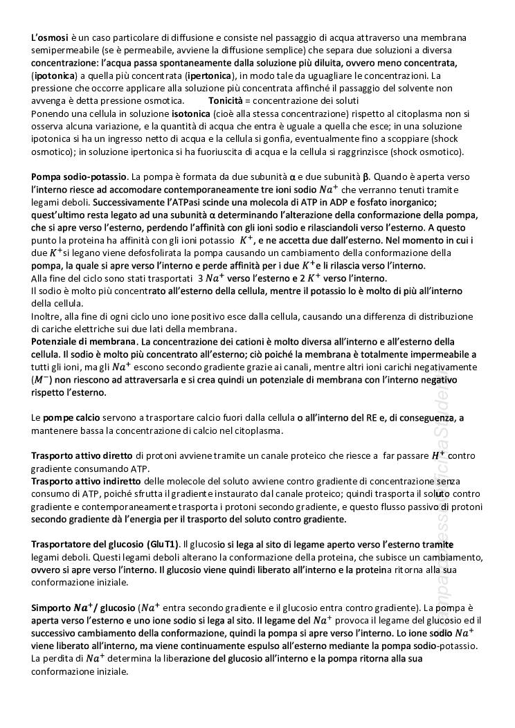 CITOLOGIA ED ISTOLOGIA - Image 4
