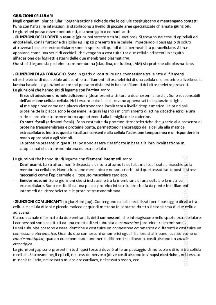 CITOLOGIA ED ISTOLOGIA - Image 6