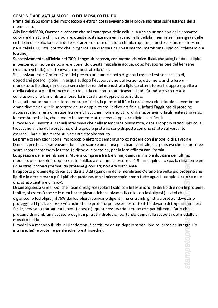 CITOLOGIA ED ISTOLOGIA - Image 8