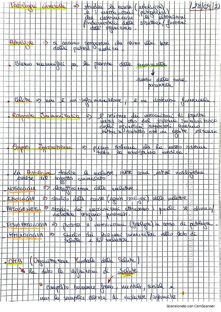 Fisiopatologia - Image 2