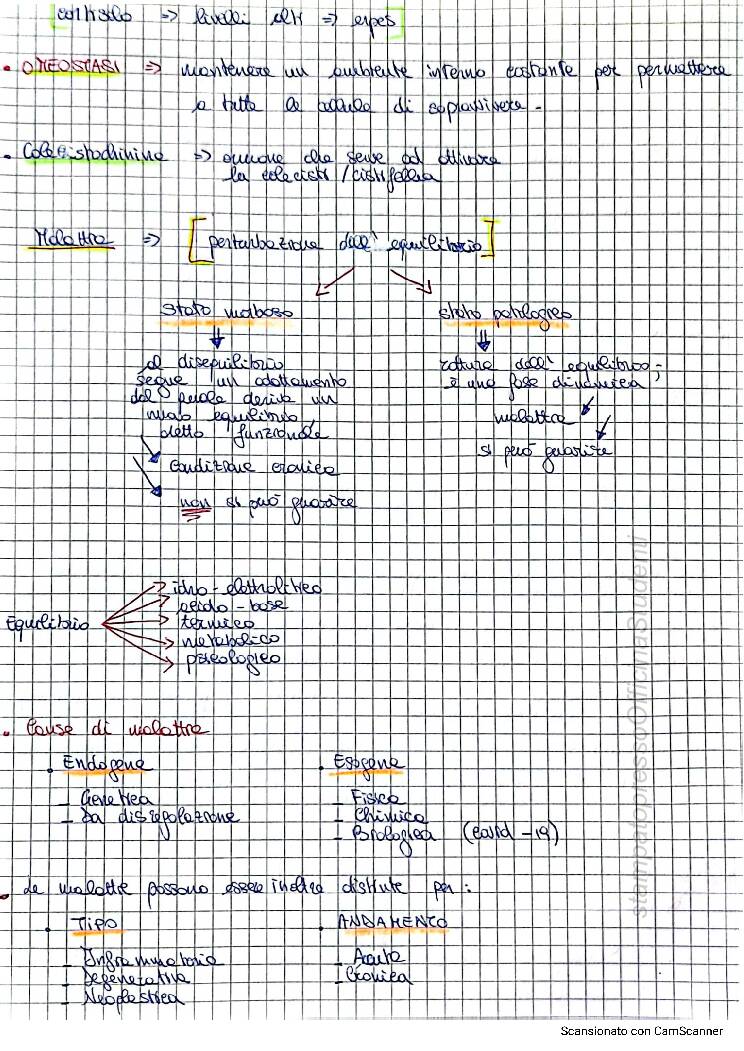 Fisiopatologia - Image 3