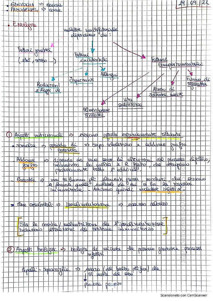 Fisiopatologia - Image 4