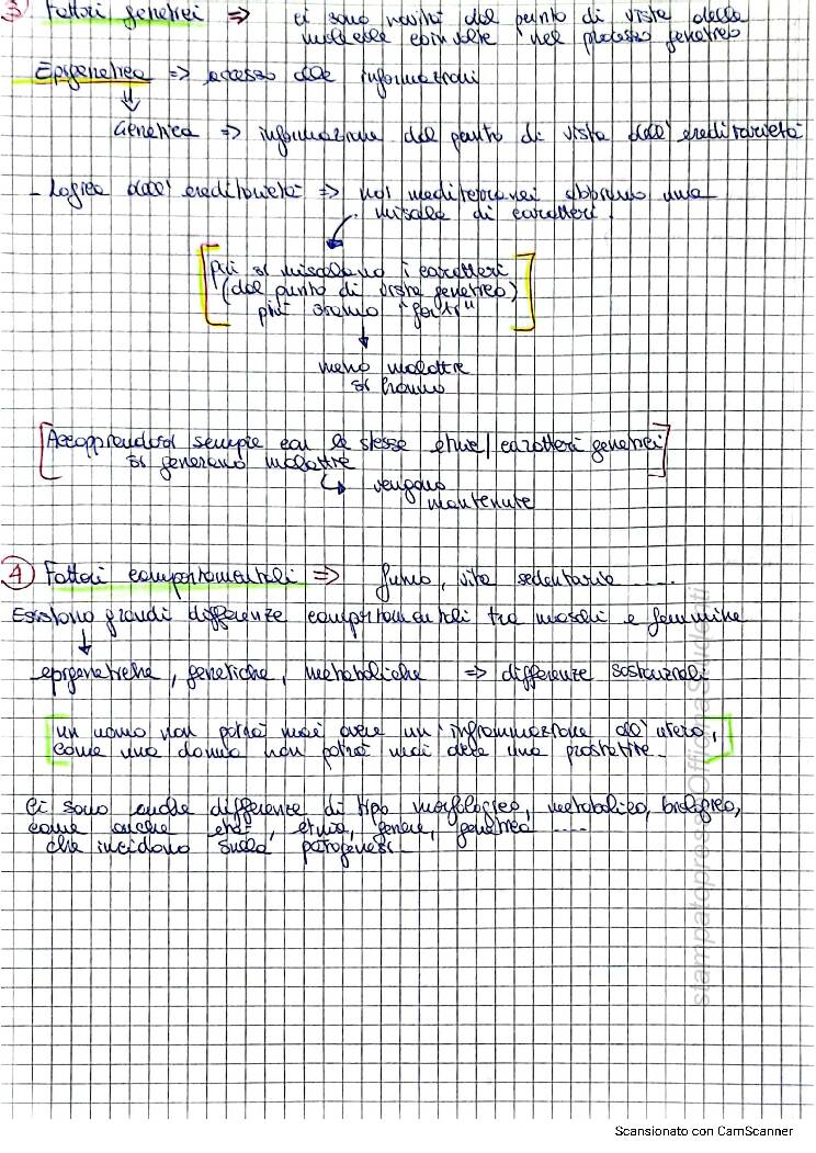 Fisiopatologia - Image 5