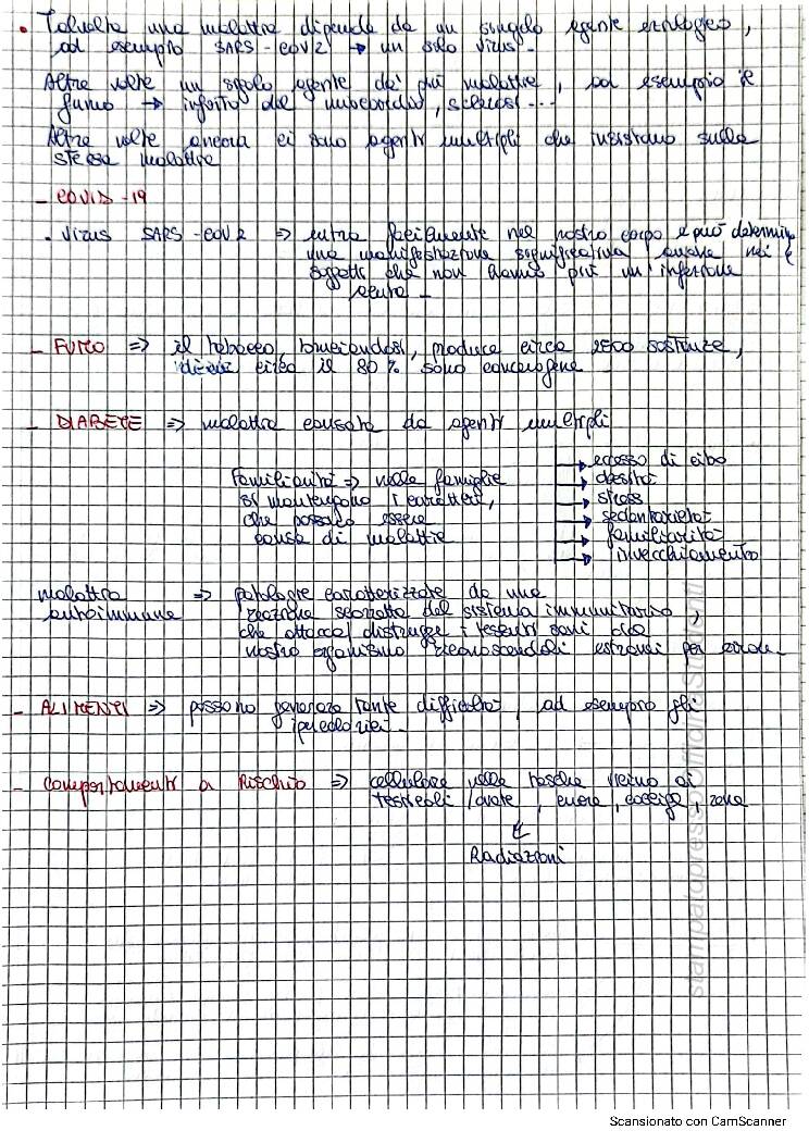 Fisiopatologia - Image 6