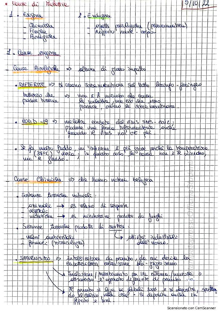 Fisiopatologia - Image 7