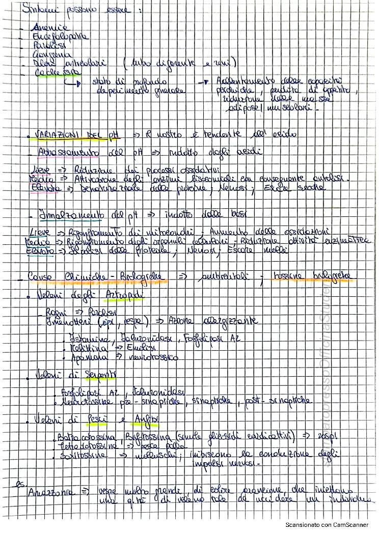 Fisiopatologia - Image 8