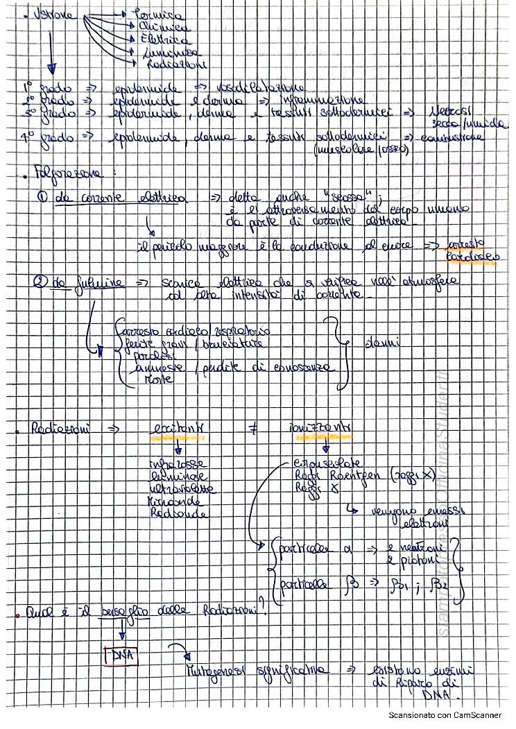 Fisiopatologia - Image 10