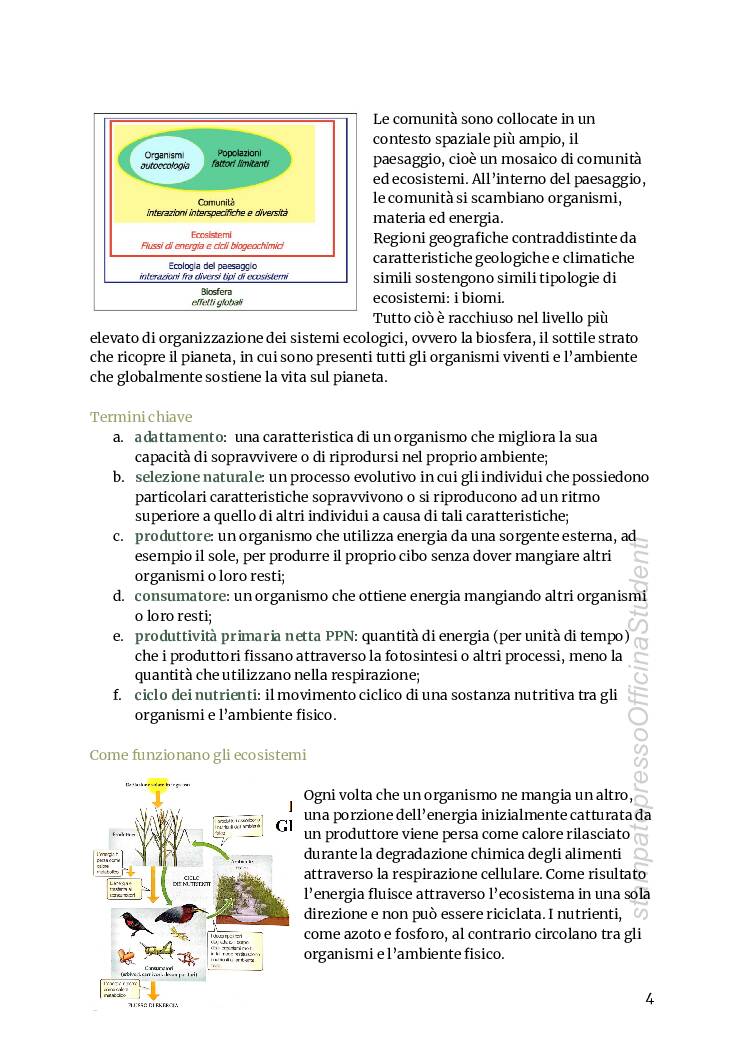 Ecologia - Image 5