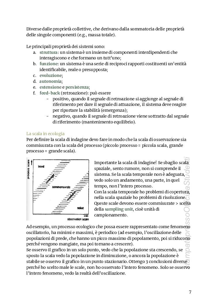 Ecologia - Image 8