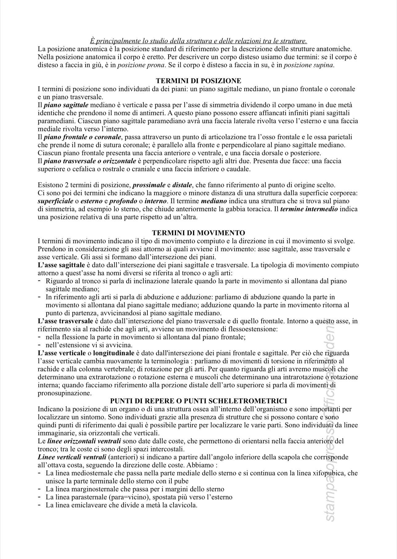 Anatomia - Image 2