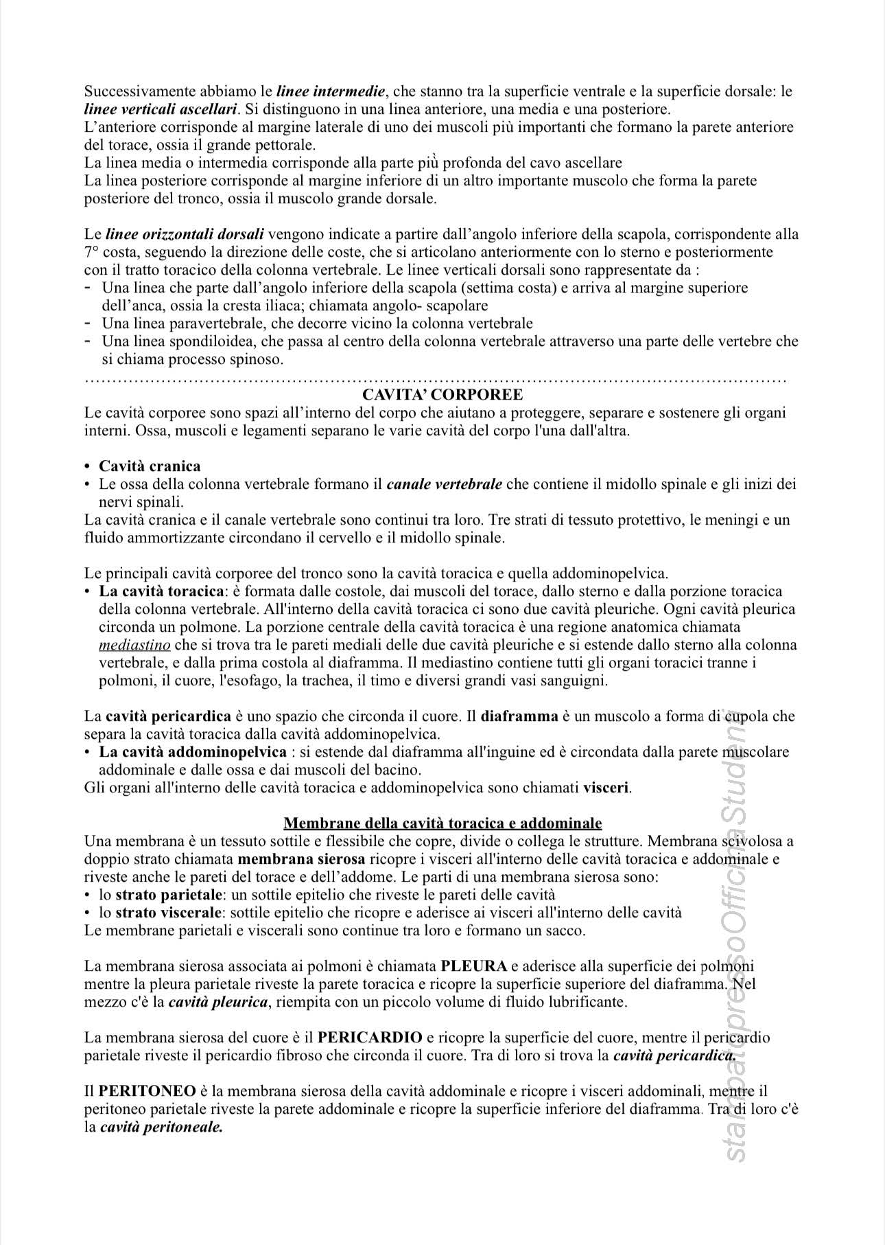 Anatomia - Image 3