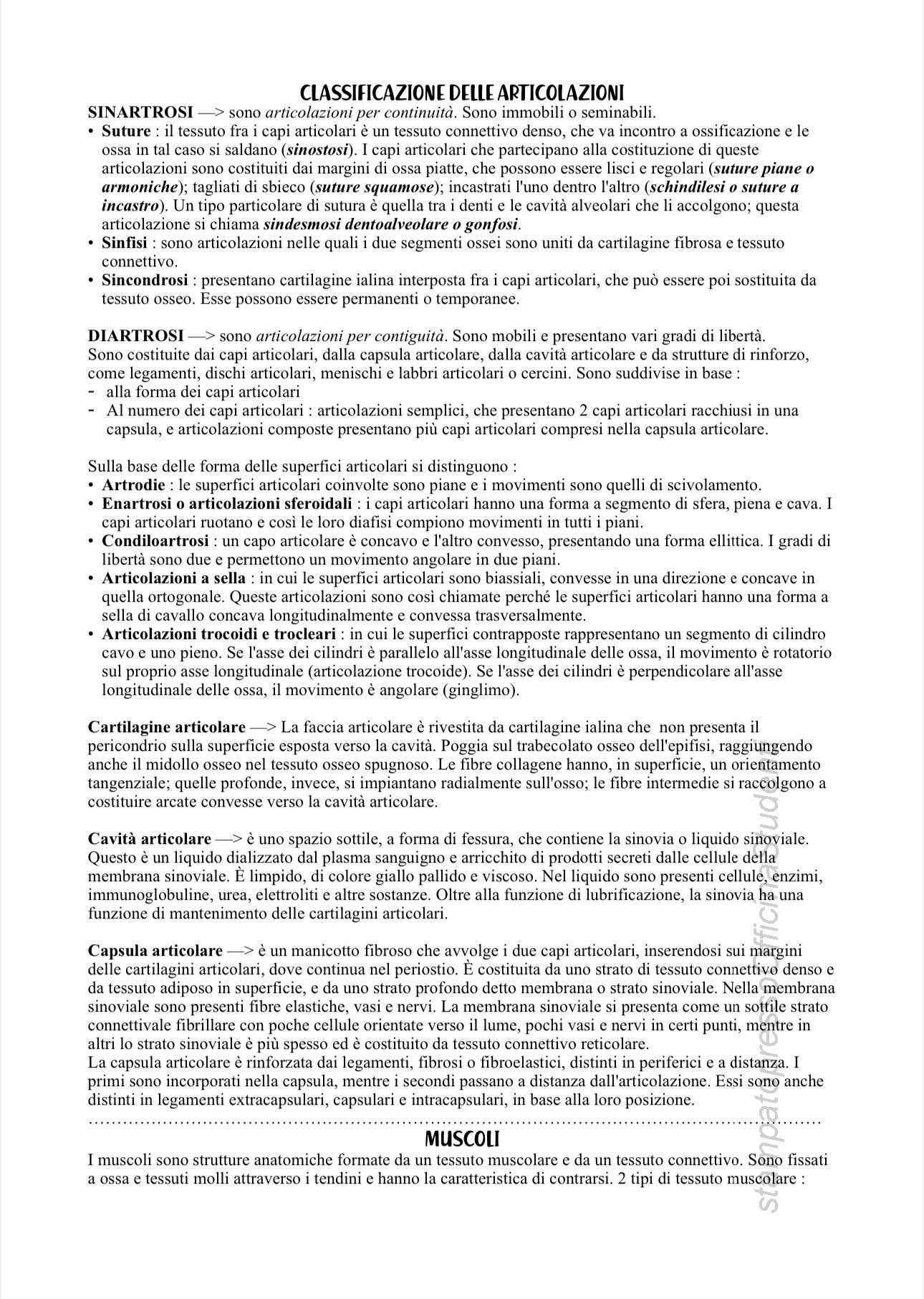 Anatomia - Image 5