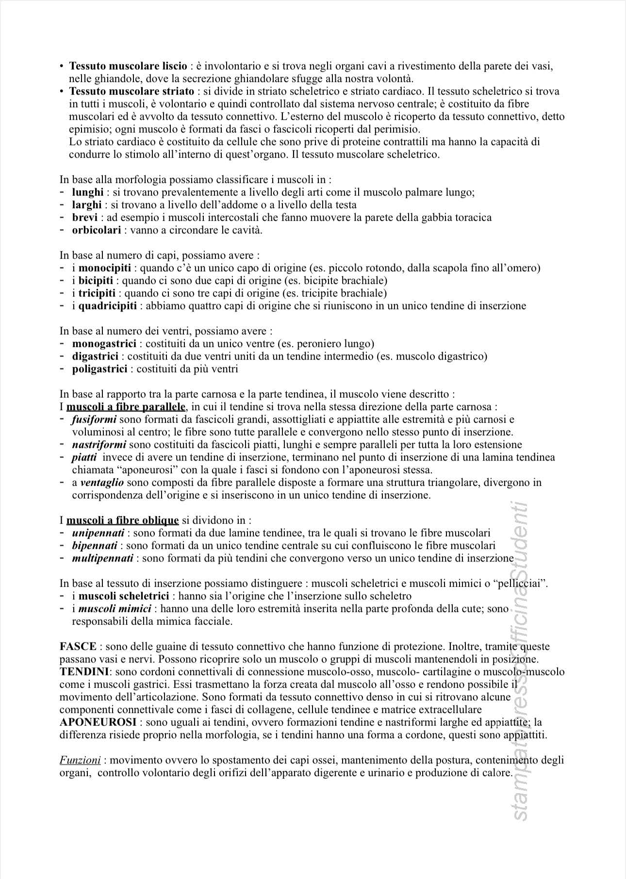Anatomia - Image 6
