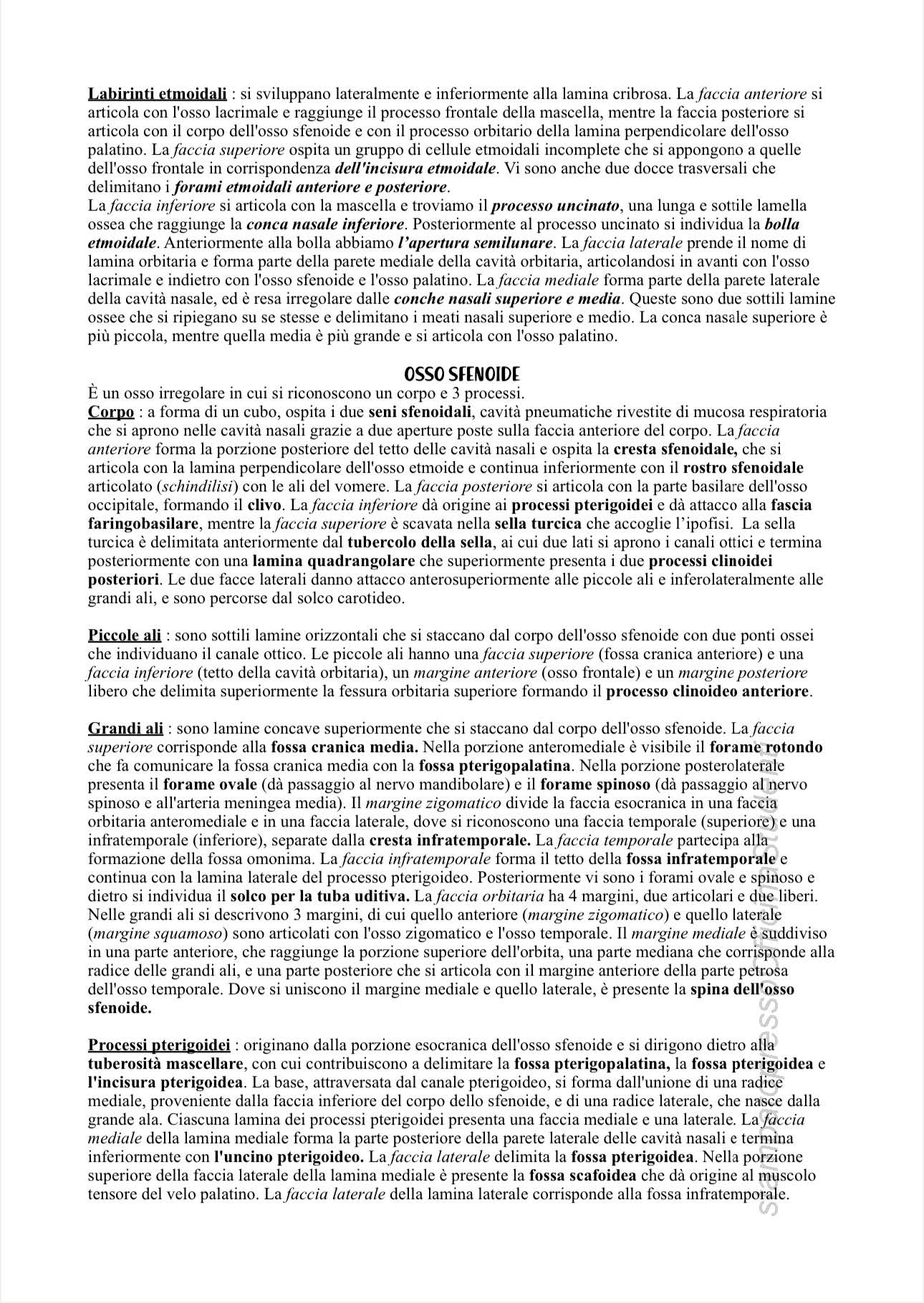 Anatomia - Image 8
