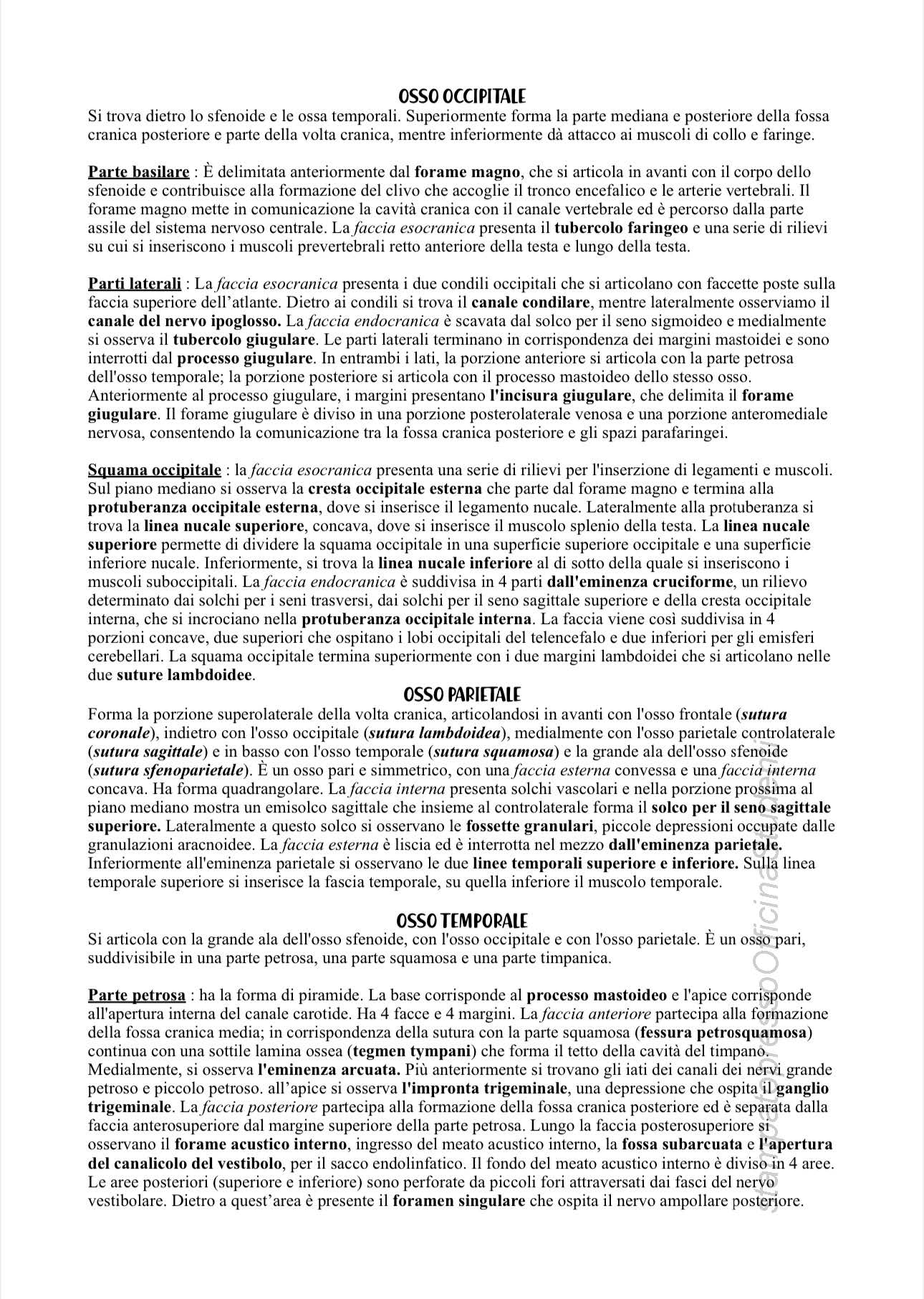 Anatomia - Image 9