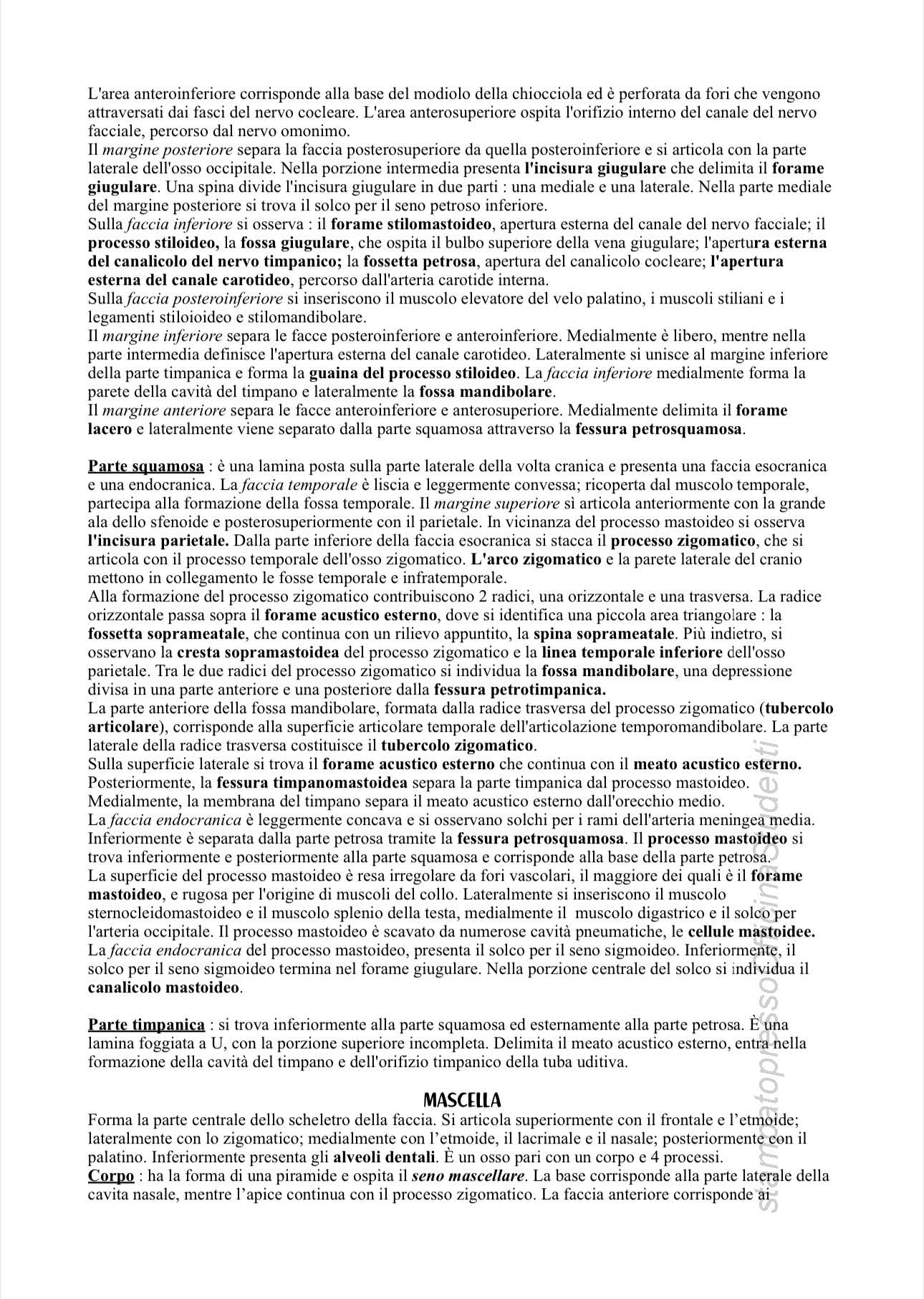 Anatomia - Image 10
