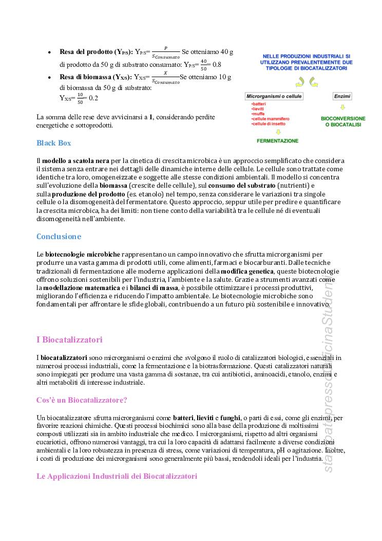 Biotecnologie Microbiche - Image 4