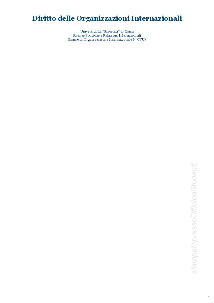Esame di Organizzazione Internazionale - Programma Integrale - Image 2
