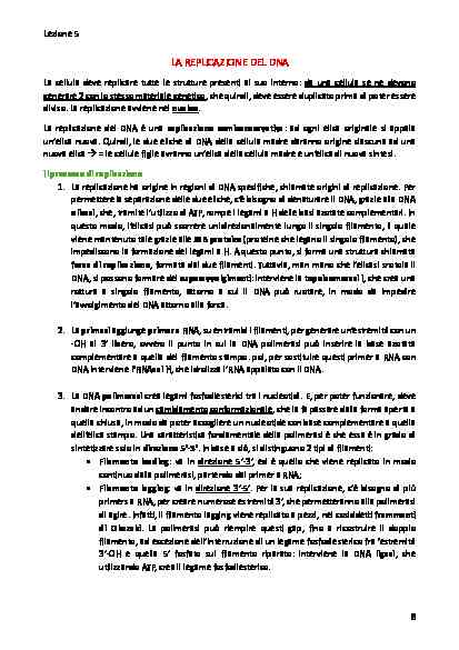 BIOLOGIA MOLECOLARE DELLA CELLULA - Image 9