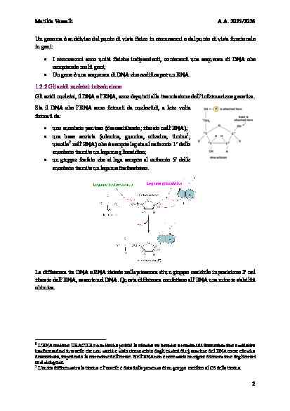 BIOLOGIA MOLECOLARE - Image 6