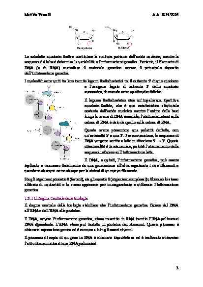 BIOLOGIA MOLECOLARE - Image 7