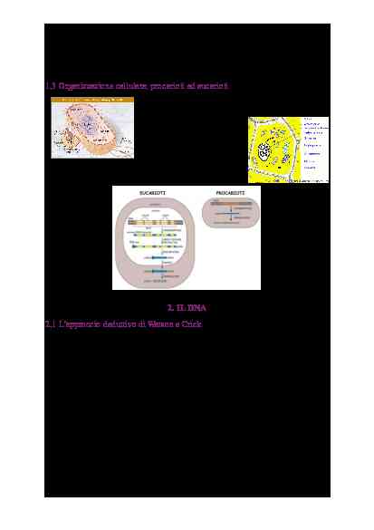BIOLOGIA MOLECOLARE - Image 8