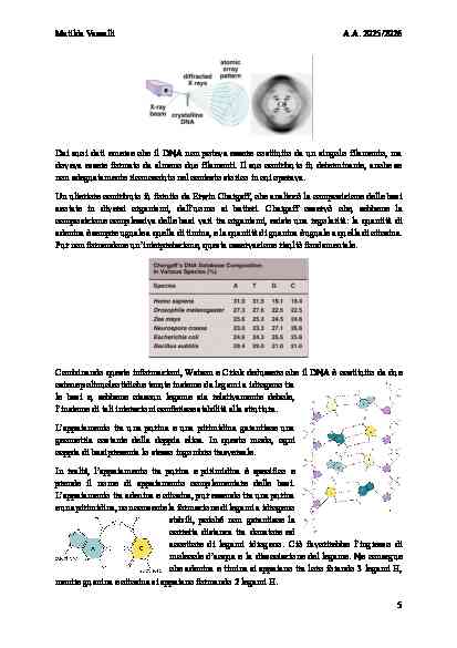 BIOLOGIA MOLECOLARE - Image 9