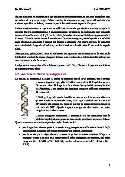 BIOLOGIA MOLECOLARE - Image 10