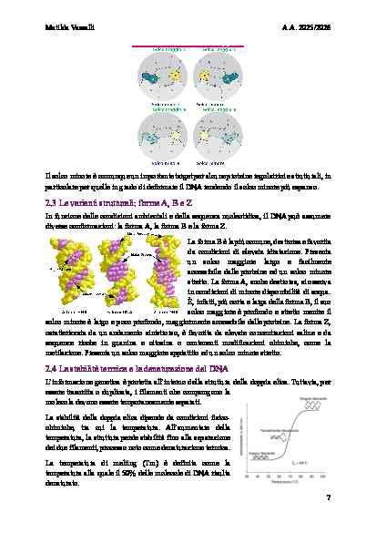 BIOLOGIA MOLECOLARE - Image 11