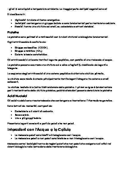 FISIOLOGIA - Image 3