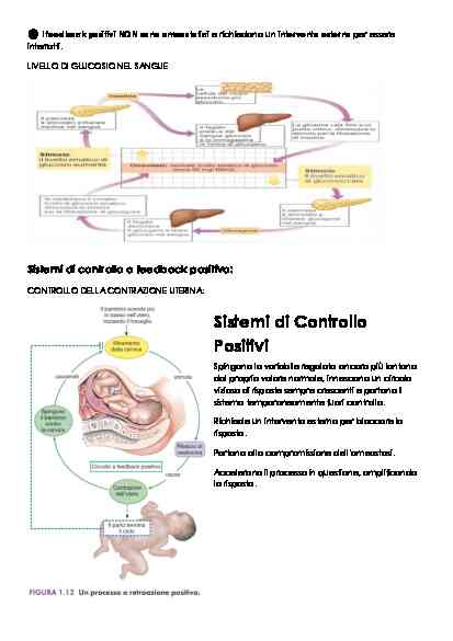 FISIOLOGIA - Image 9