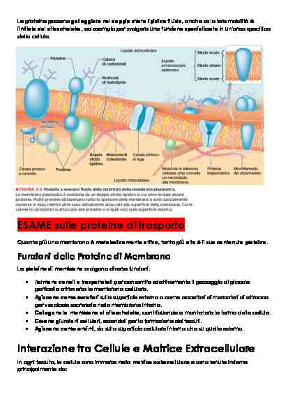 FISIOLOGIA - Image 11