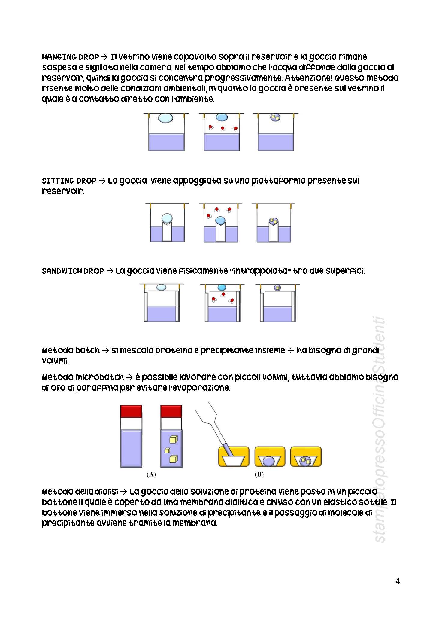 Laboratorio di Struttura di Proteine - Image 5