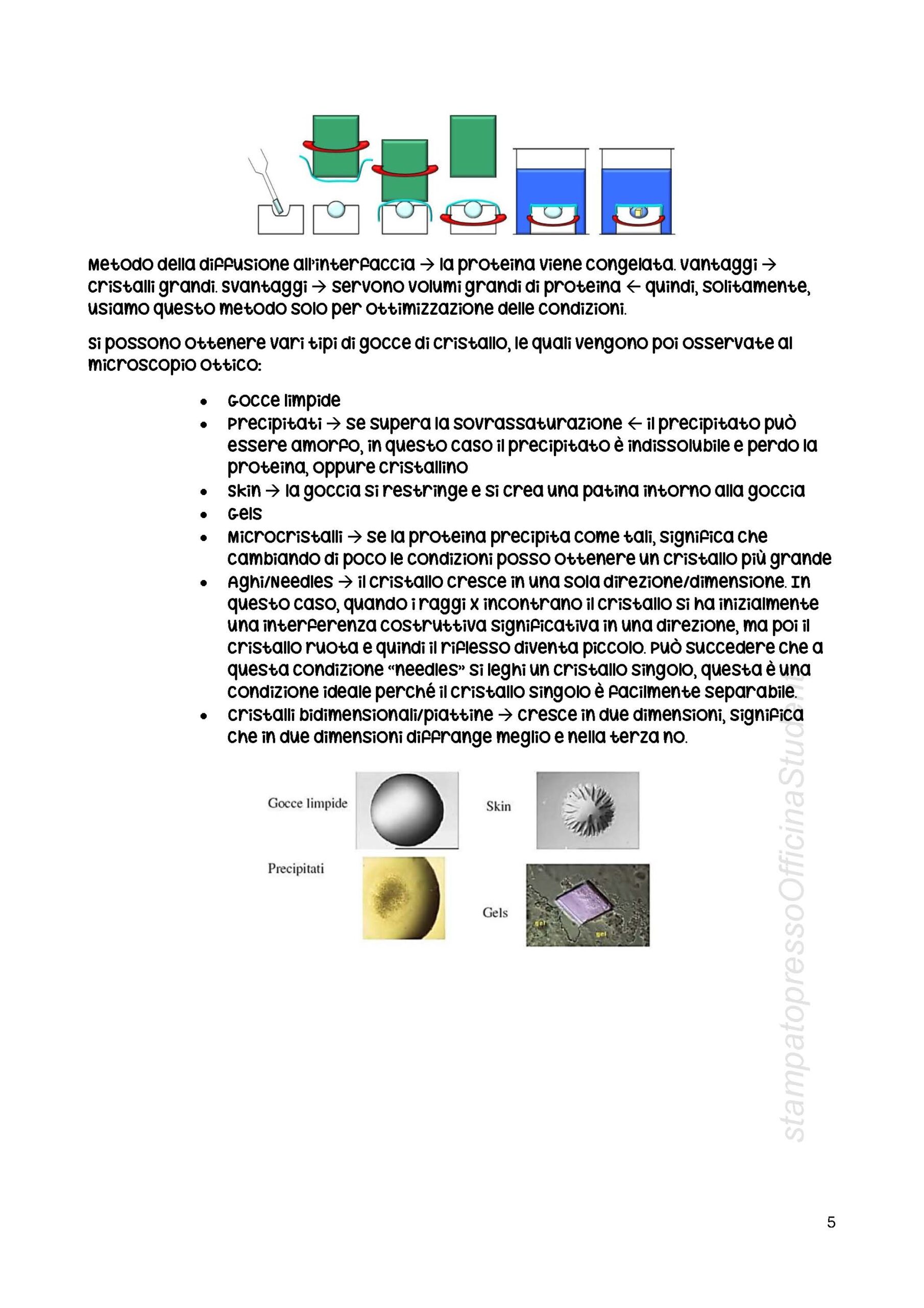 Laboratorio di Struttura di Proteine - Image 6