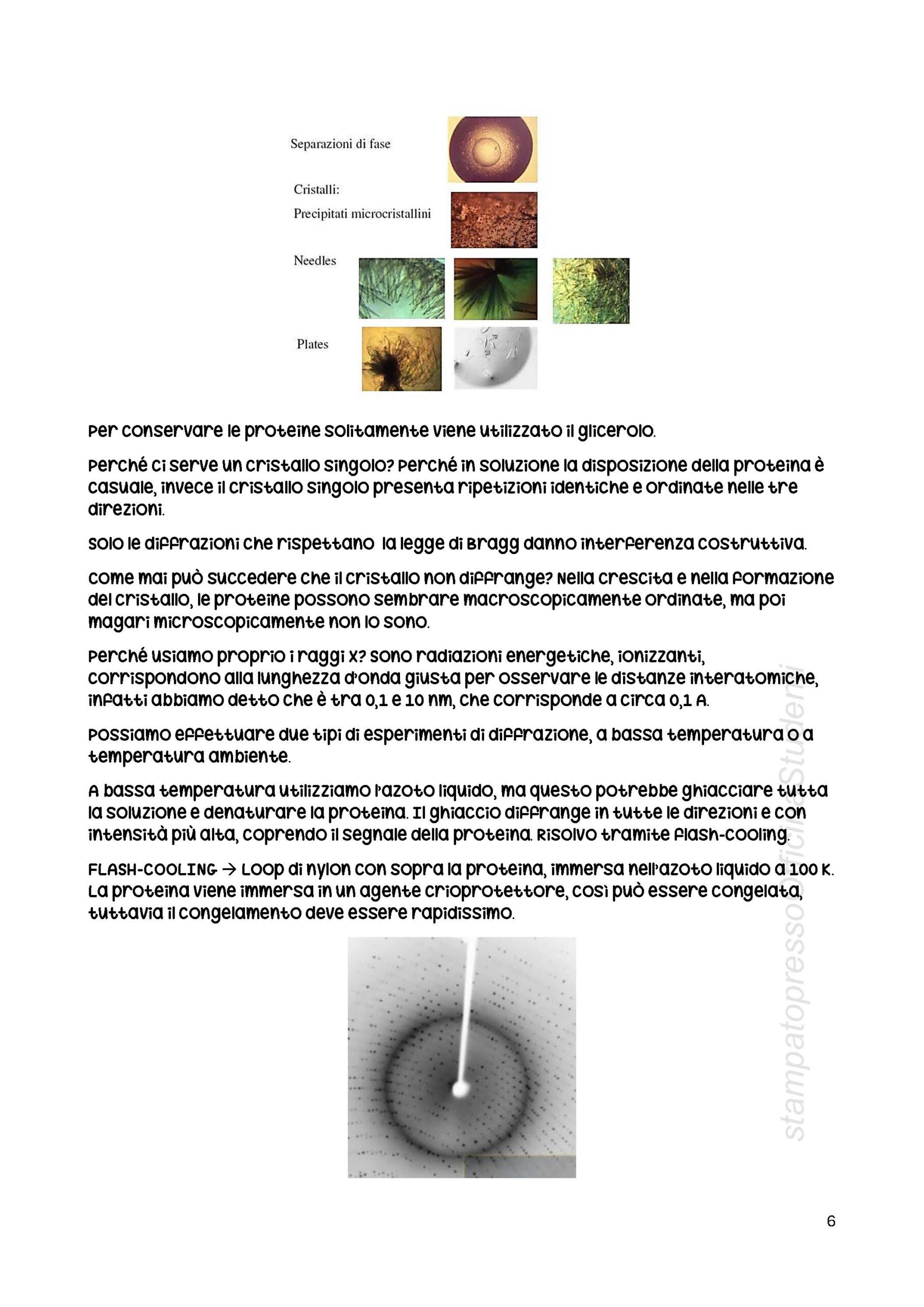 Laboratorio di Struttura di Proteine - Image 7