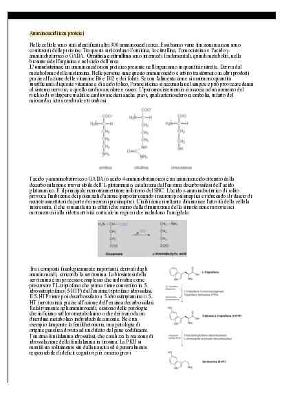Biochimica I e II - Image 10