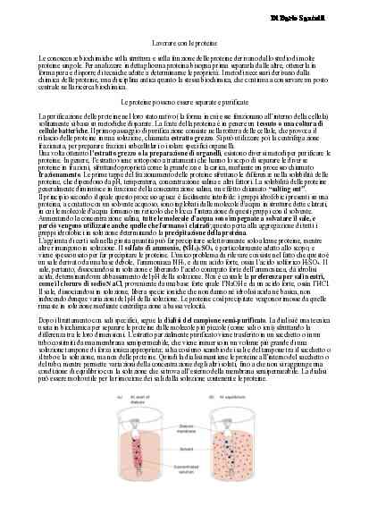 Biochimica I e II - Image 11