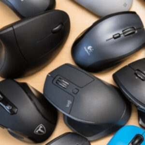 Mouse